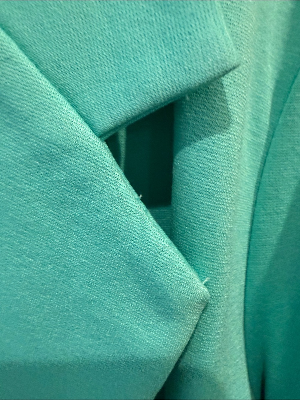 NWT Dear Scarlett Blazer Size Large - Picture 14 of 16